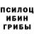 Псилоцибиновые грибы GOLDEN TEACHER Loopy's Assistant