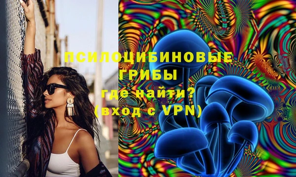 гашик Абинск