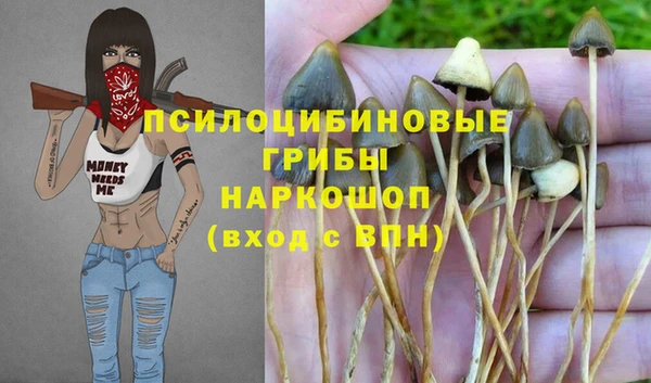 скорость Абаза