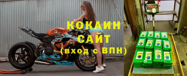 стаф Елизово