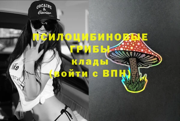 гашик Абинск