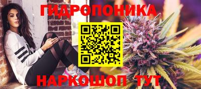 не бодяженный Будённовск