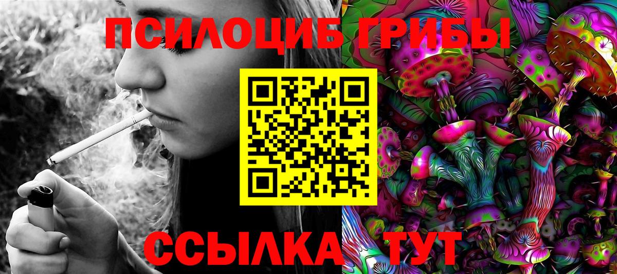 Галлюциногенные грибы MAGIC MUSHROOMS  Вход с VPN  Белая Калитва 